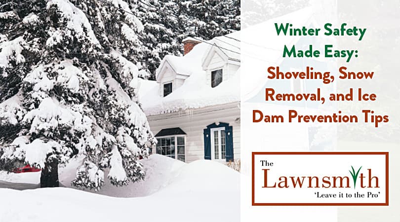 Winter Safety Made Easy: Shoveling, Snow Removal, and Ice Dam Prevention Tips