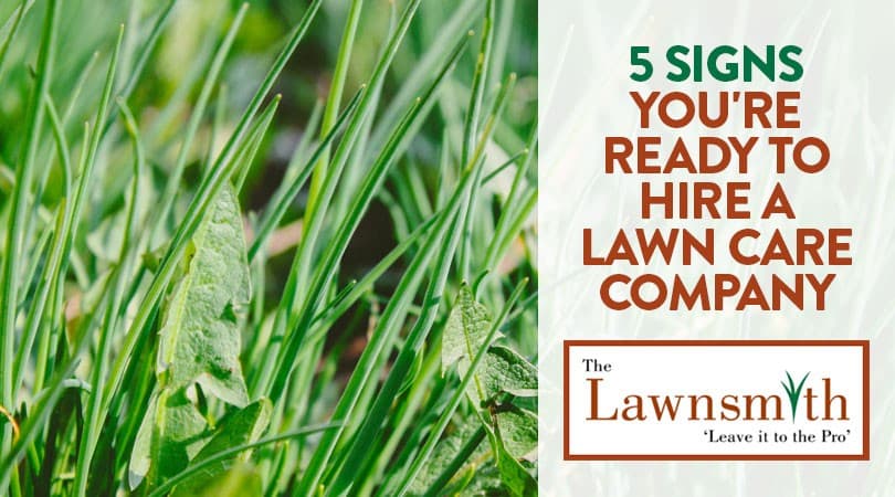 5 Signs You're Ready to Hire a Lawn Care Company