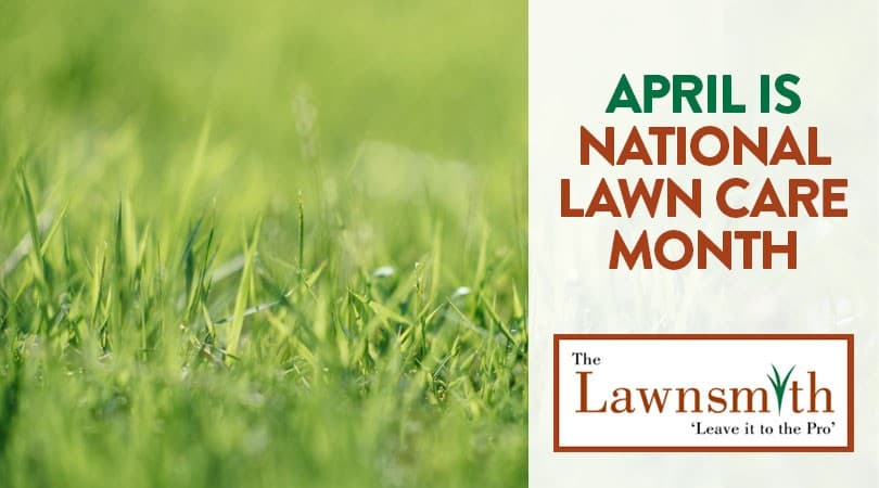 April is National Lawn Care Month