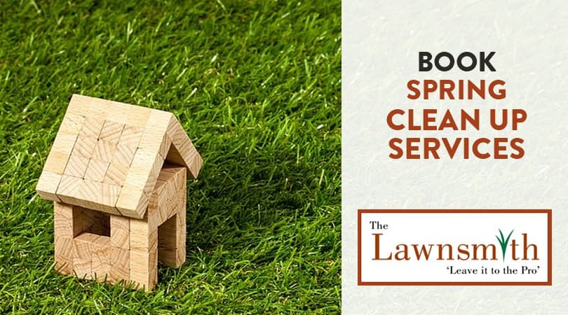 Book Spring Clean Up Services