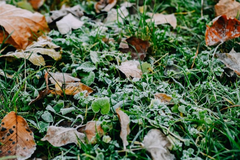 Don't Wait Until Your Snow Route is Full: Book Snow Service Now