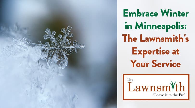 Embrace Winter in Minneapolis: The Lawnsmith's Expertise at Your Service