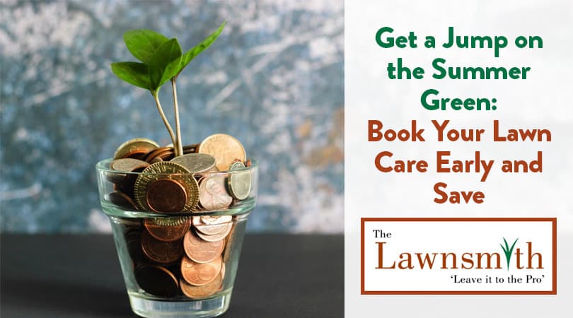 Get a Jump on the Summer Green: Book Your Lawn Care Early and Save