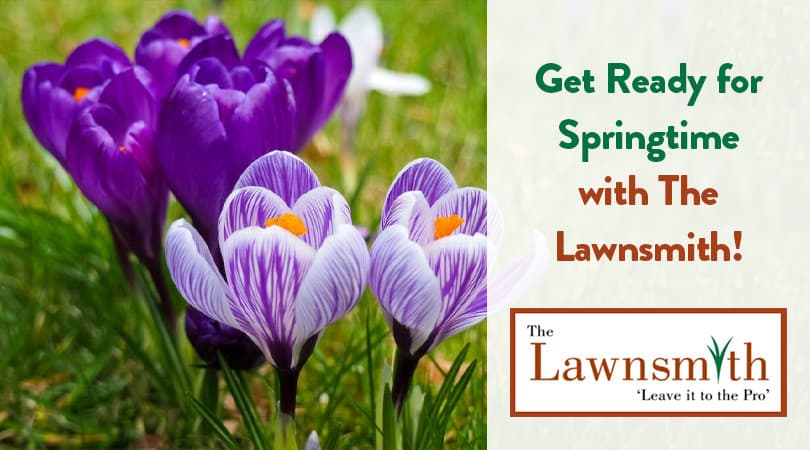 Get Ready for Springtime with The Lawnsmith!
