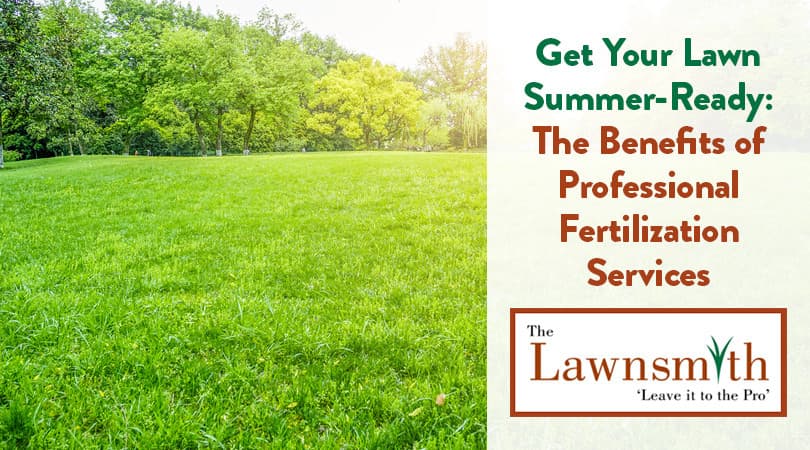 Get Your Lawn Summer-Ready: The Benefits of Professional Fertilization Services
