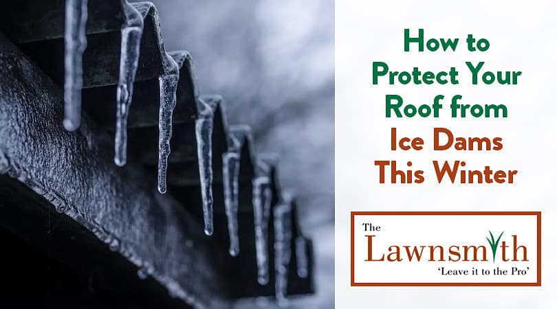 How to Protect Your Roof from Ice Dams This Winter