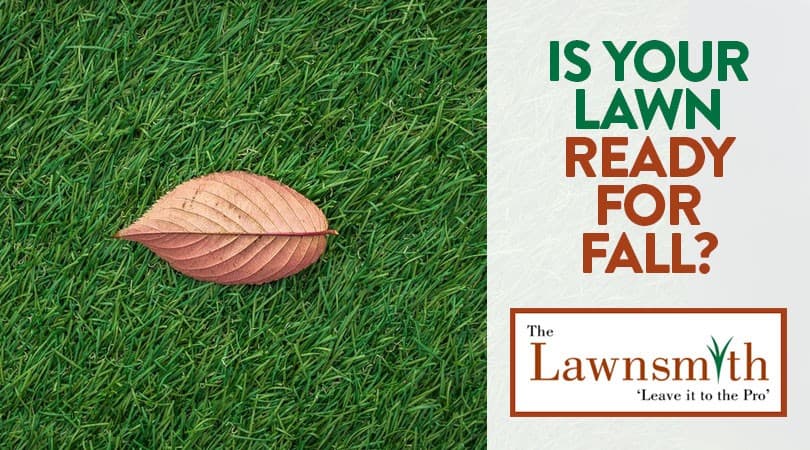 Is Your Lawn Ready for Fall?