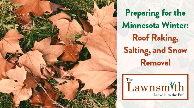 Preparing for the Minnesota Winter: Roof Raking, Salting, and Snow Removal