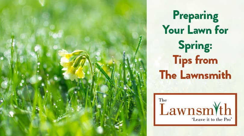 Preparing Your Lawn for Spring: Tips from The Lawnsmith
