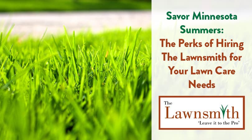 Savor Minnesota Summers: The Perks of Hiring The Lawnsmith for Your Lawn Care Needs