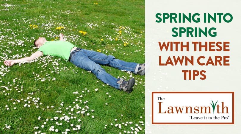 Spring into Spring with These Lawn Care Tips