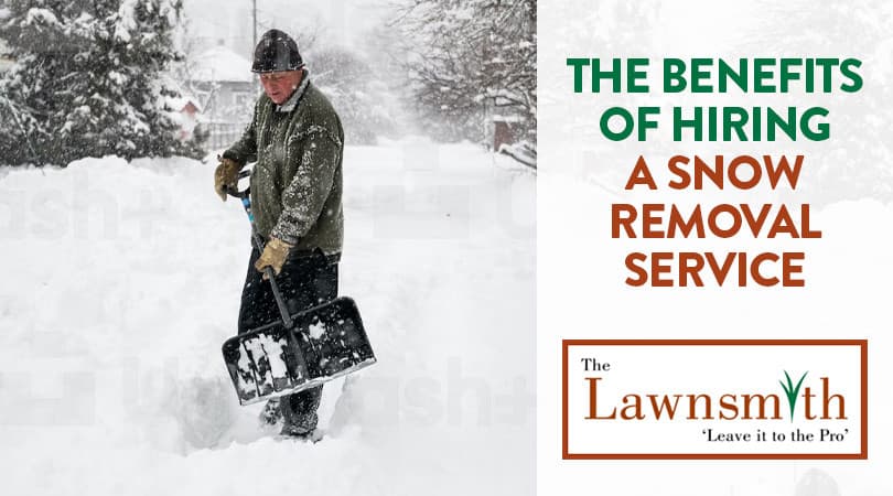 The Benefits of Hiring a Snow Removal Service