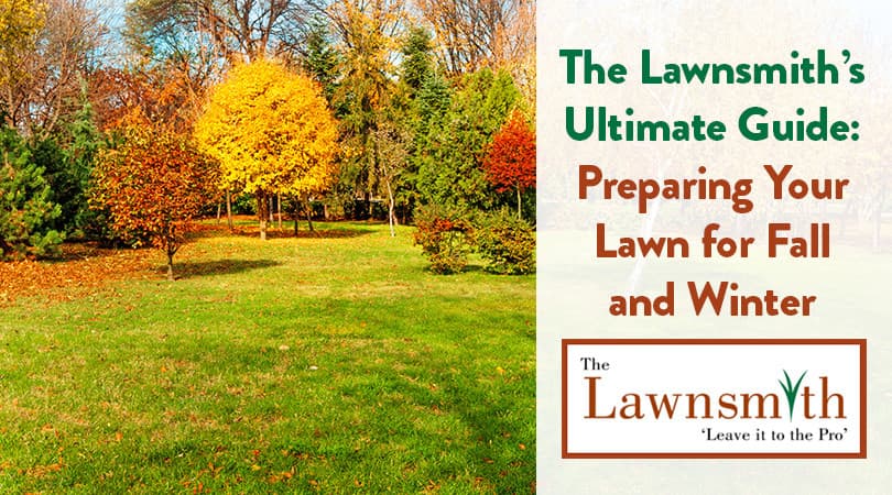 The Lawnsmith’s Ultimate Guide: Preparing Your Lawn for Fall and Winter