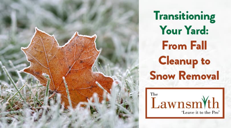 Transitioning Your Yard: From Fall Cleanup to Snow Removal