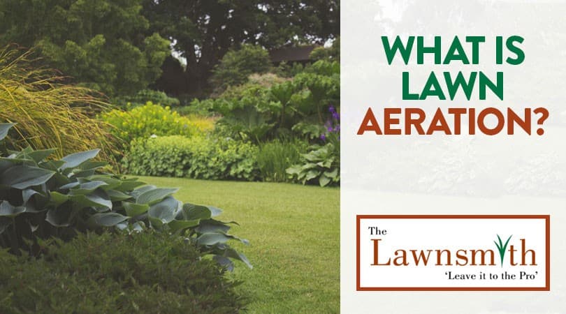 What is Lawn Aeration?