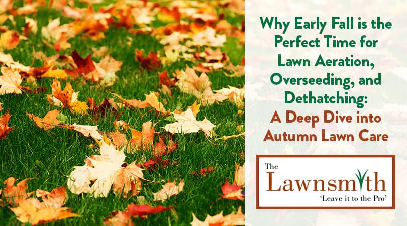 Why Early Fall is the Perfect Time for Lawn Aeration, Overseeding, and Dethatching: A Deep Dive into
