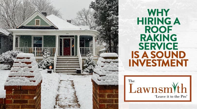 Why Hiring a Roof Raking Service is a Sound Investment