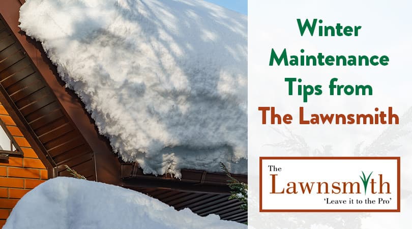 Winter Maintenance Tips From The Lawnsmith