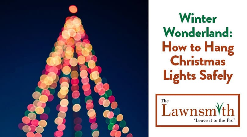 Winter Wonderland: How to Hang Christmas Lights Safely