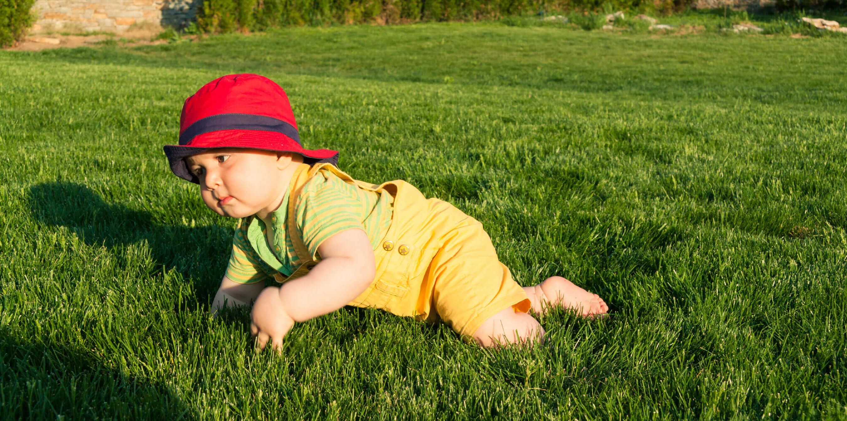 Boy playing with dog on beautiful green lawn - The Lawnsmith professional lawn care in Hopkins, MN and Twin Cities suburbs