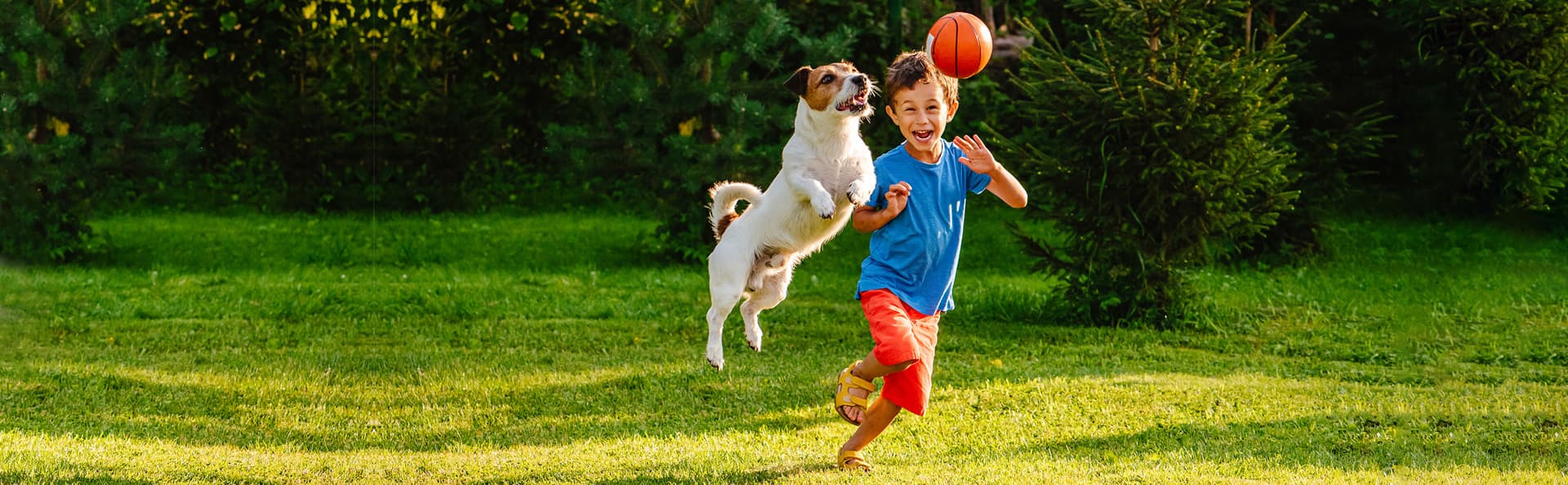 Family enjoying their well-maintained lawn in Minneapolis suburbs - professional lawn care services