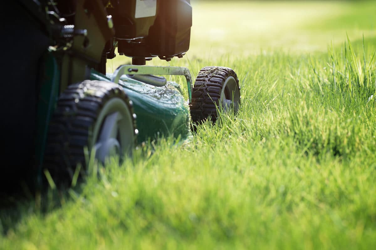 Lawn maintenance mowing service