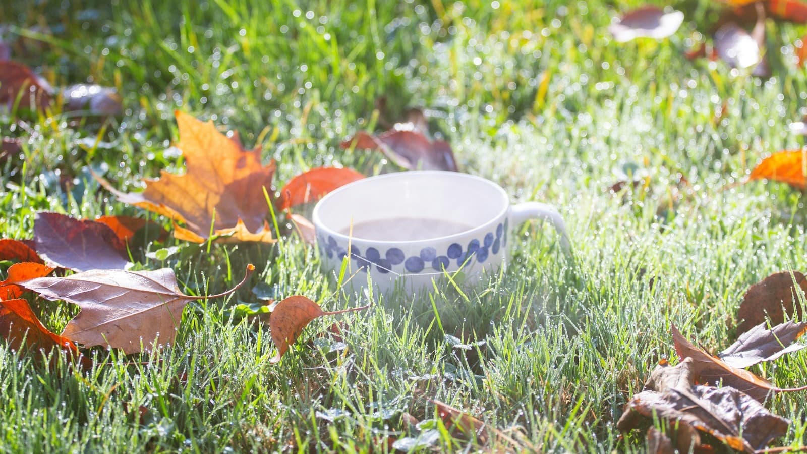 Autumn leaves scattered across a lawn for fall cleanup