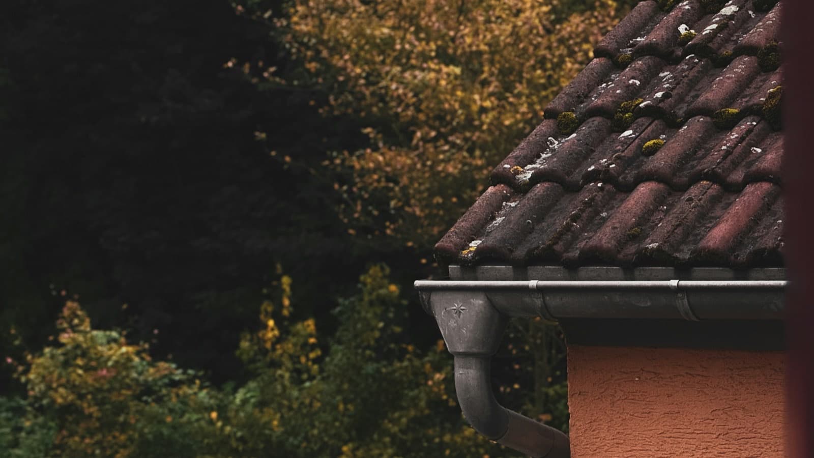 Residential gutter and downspout along a roofline