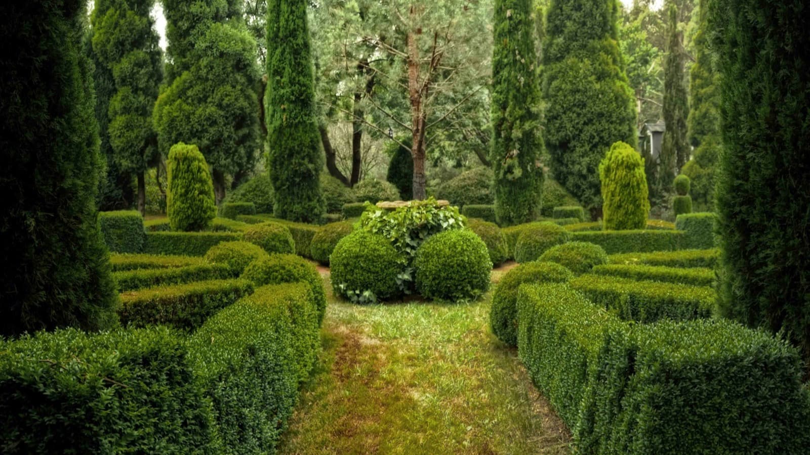 Neatly shaped ornamental shrubs and hedges