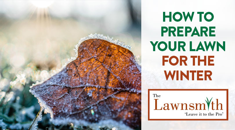 How to Prepare Your Lawn for the Winter | The Lawnsmith Blog | The ...