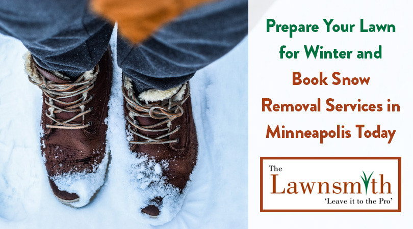 Prepare Your Lawn for Winter and Book Snow Removal Services in ...