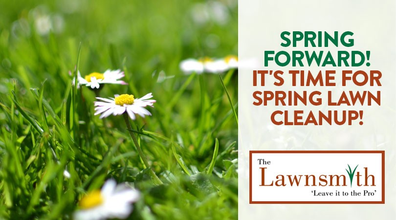Almost Spring Clean Up Time Spring Forward! It's Time for Spring Lawn Cleanup! | The Lawnsmith Blog ...