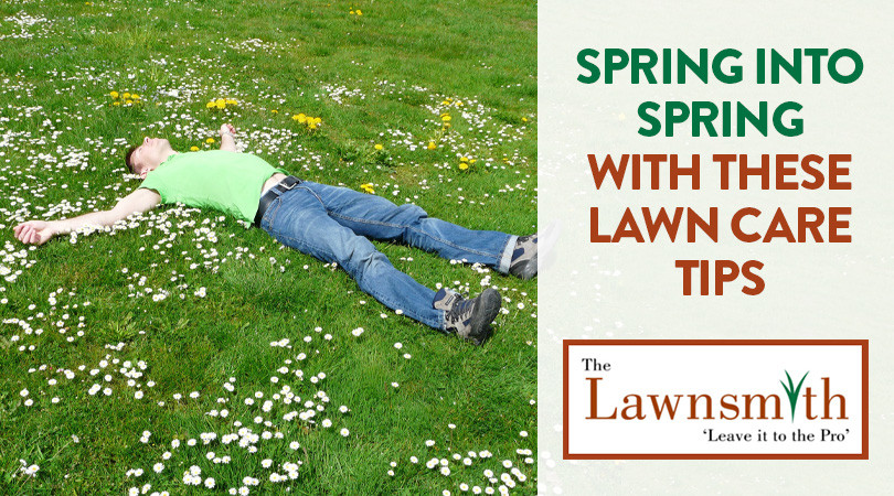 Spring store lawn treatment